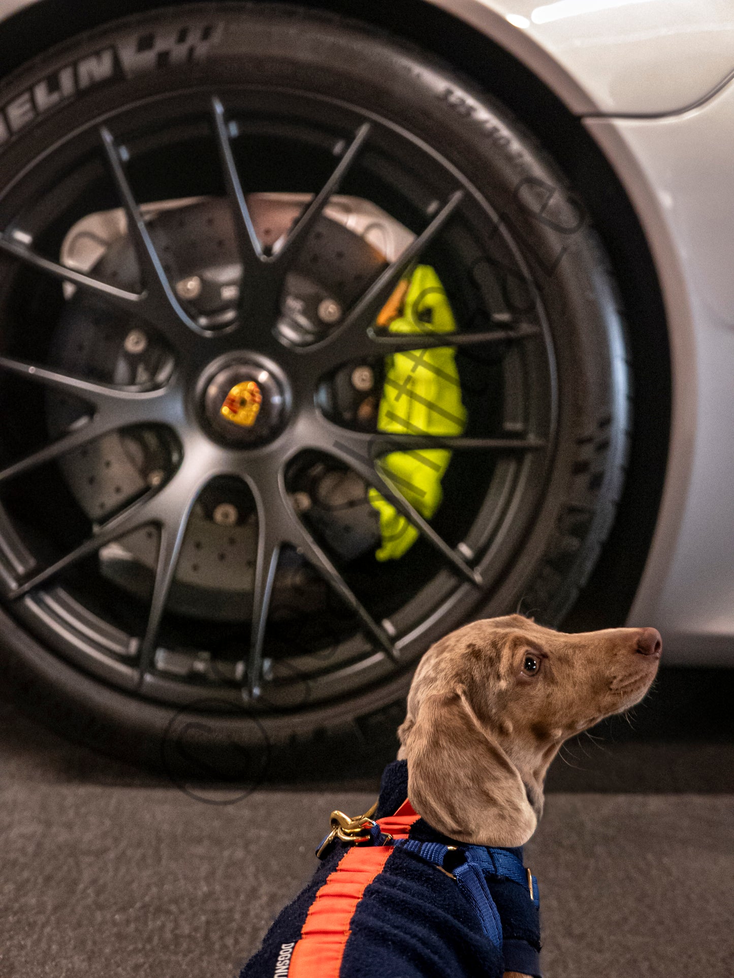 "Can we buy this mummy?": Dachshund X Porsche 918