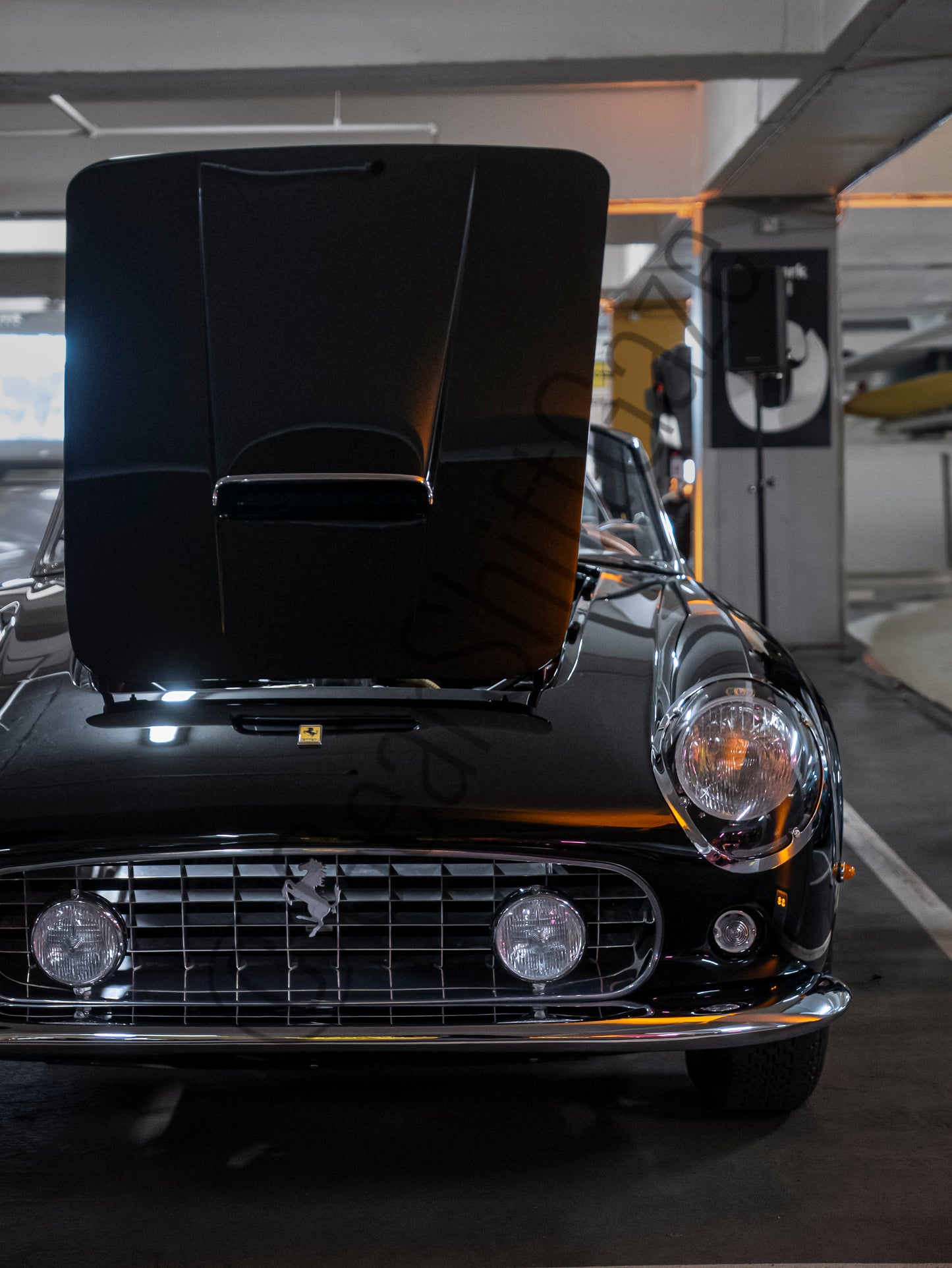 V12 Elegance: The Ferrari 250 GT California Spider